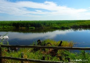 Visit the Okavango Delta