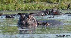 Water Safari in a mokoro