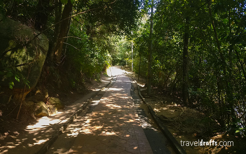 Penang National Park hiking