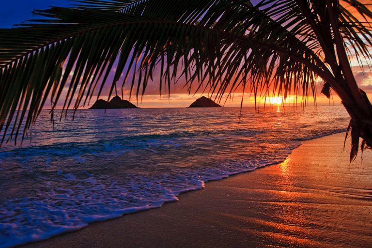 A palm branch frames a view of the ocean at sunset, with gentle waves washing over the sandy shore and two small islands in the distance—a scene that captures what Hawaii is famous for: breathtaking beaches and vibrant skies.