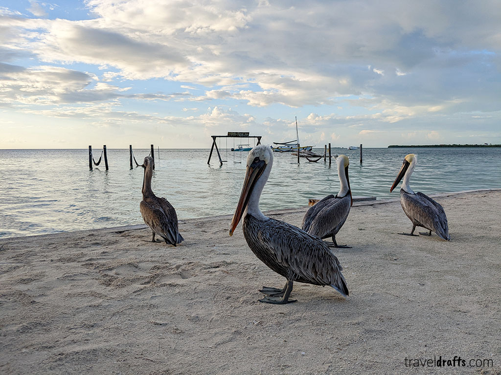 Ambergris Caye or Caye Caulker