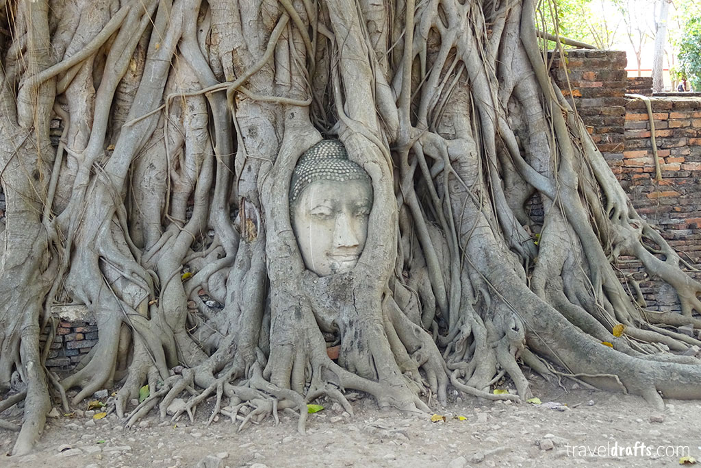 Best things to do in Thailand