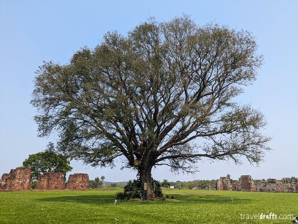 A large, leafy tree sits in the center of a grassy area dotted with ancient stone ruins—an inspiring spot for anyone seeking travel tips or planning a visit to Paraguay under a clear blue sky.