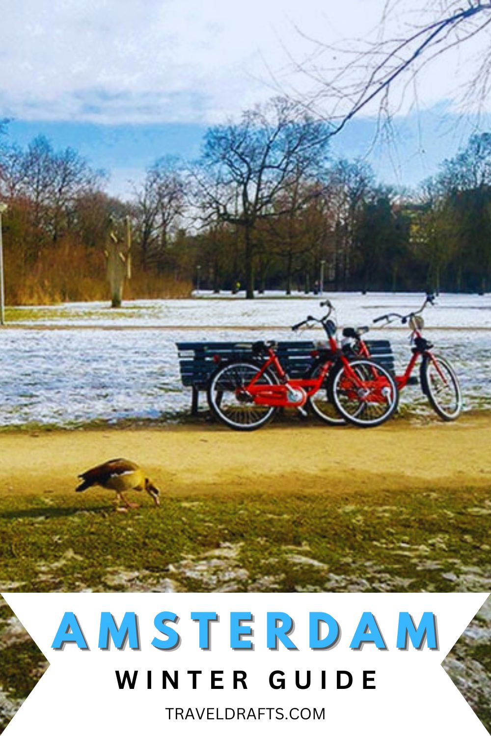 Amsterdam Winter guide
