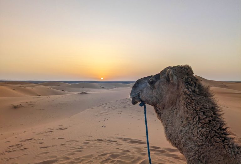 Tour ao Deserto do Saara cover